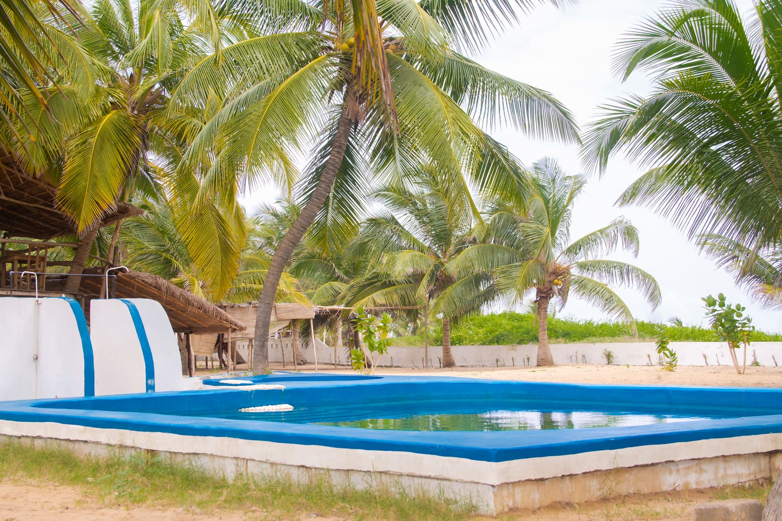 Piscine du site entourée de cocotiers